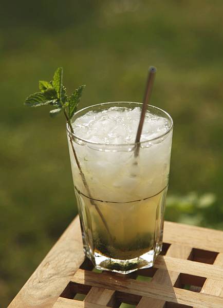 Mojito