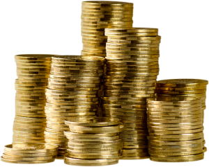 Mit der Nischenseite verdienstes Geld